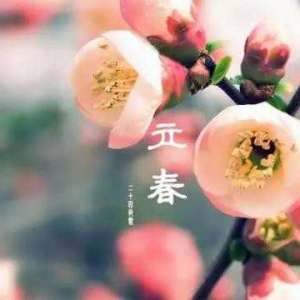 立春一日，百草回芽