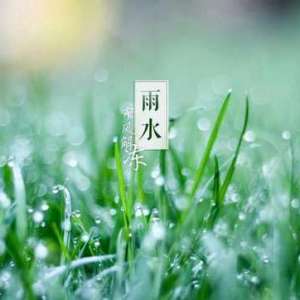 雨水的诗句：知时节